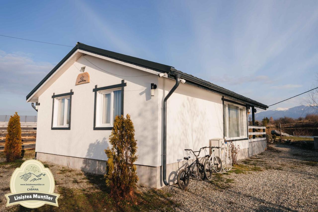 Linistea Muntilor Chalet Porumbacu de Sus Zewnętrze zdjęcie