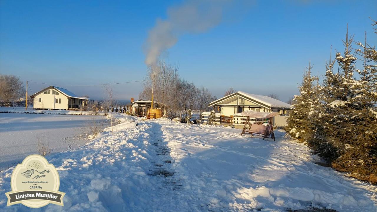Linistea Muntilor Chalet Porumbacu de Sus Zewnętrze zdjęcie