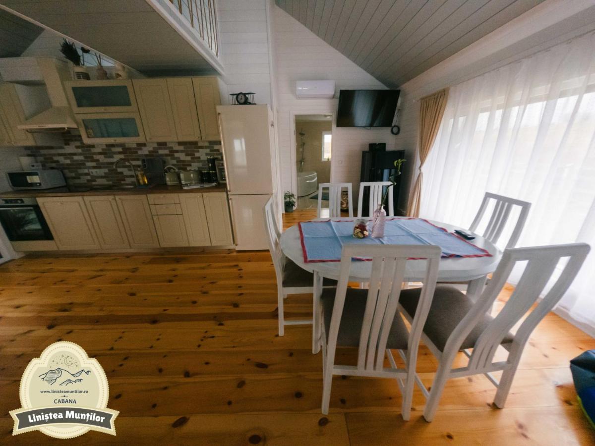 Linistea Muntilor Chalet Porumbacu de Sus Zewnętrze zdjęcie