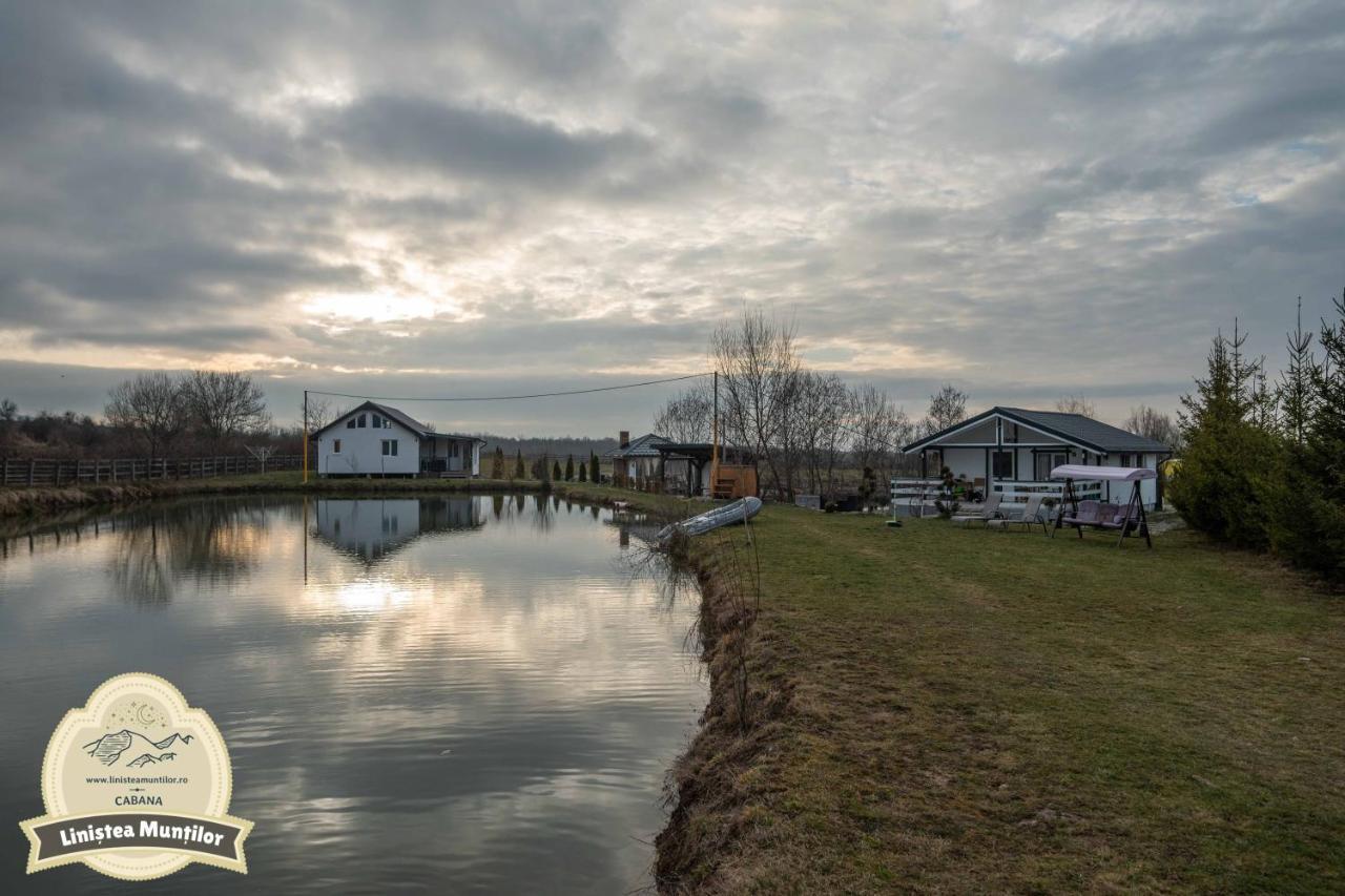 Linistea Muntilor Chalet Porumbacu de Sus Zewnętrze zdjęcie