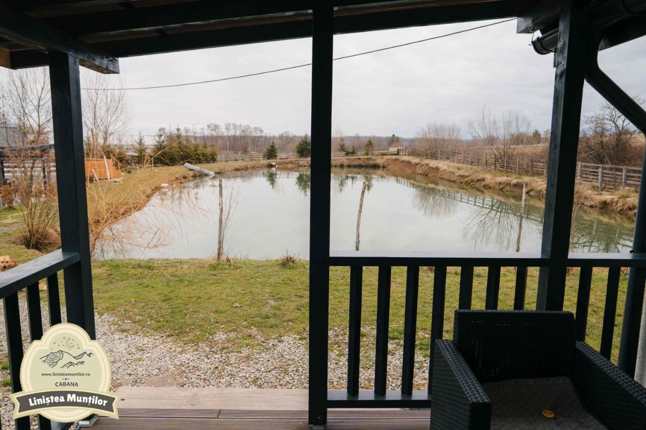 Linistea Muntilor Chalet Porumbacu de Sus Zewnętrze zdjęcie