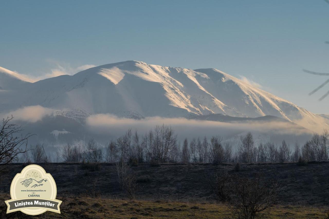 Linistea Muntilor Chalet Porumbacu de Sus Zewnętrze zdjęcie