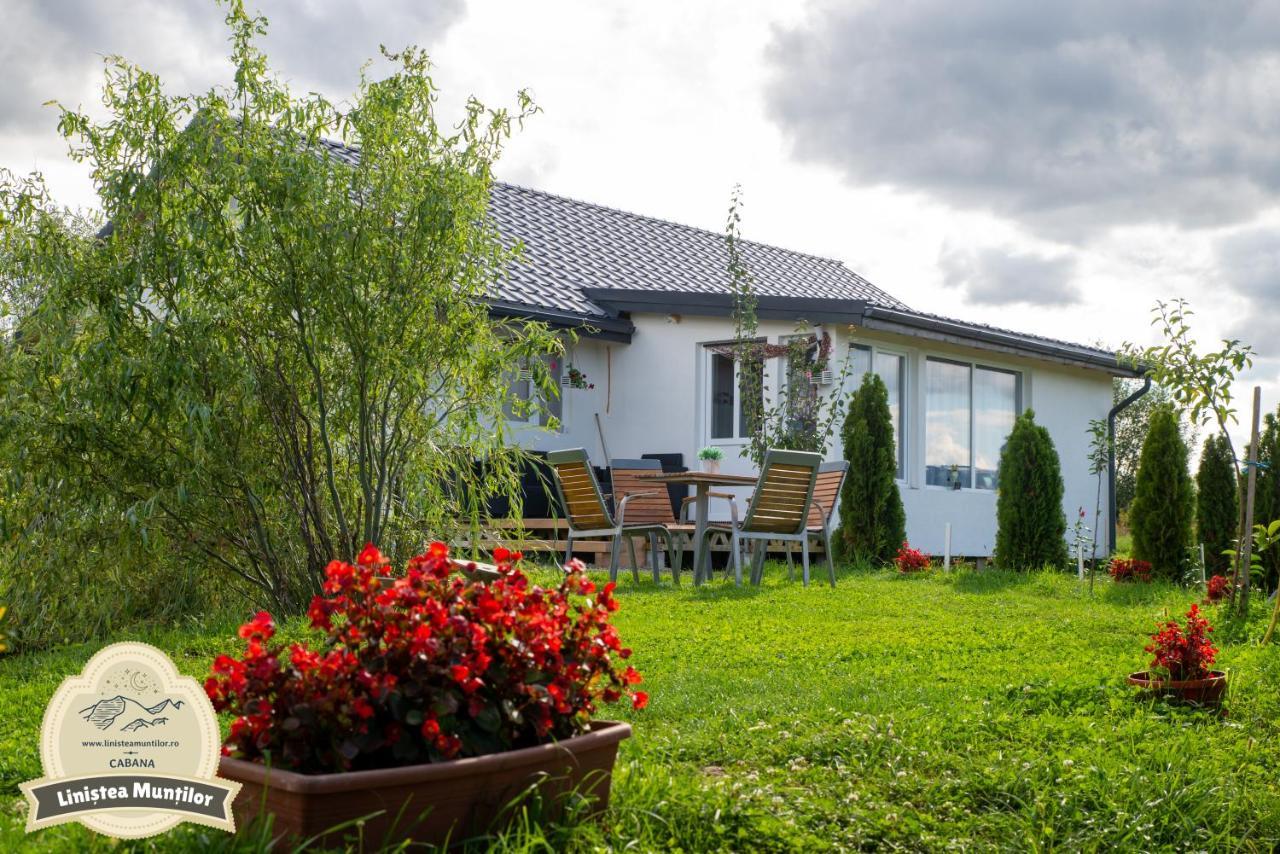 Linistea Muntilor Chalet Porumbacu de Sus Zewnętrze zdjęcie