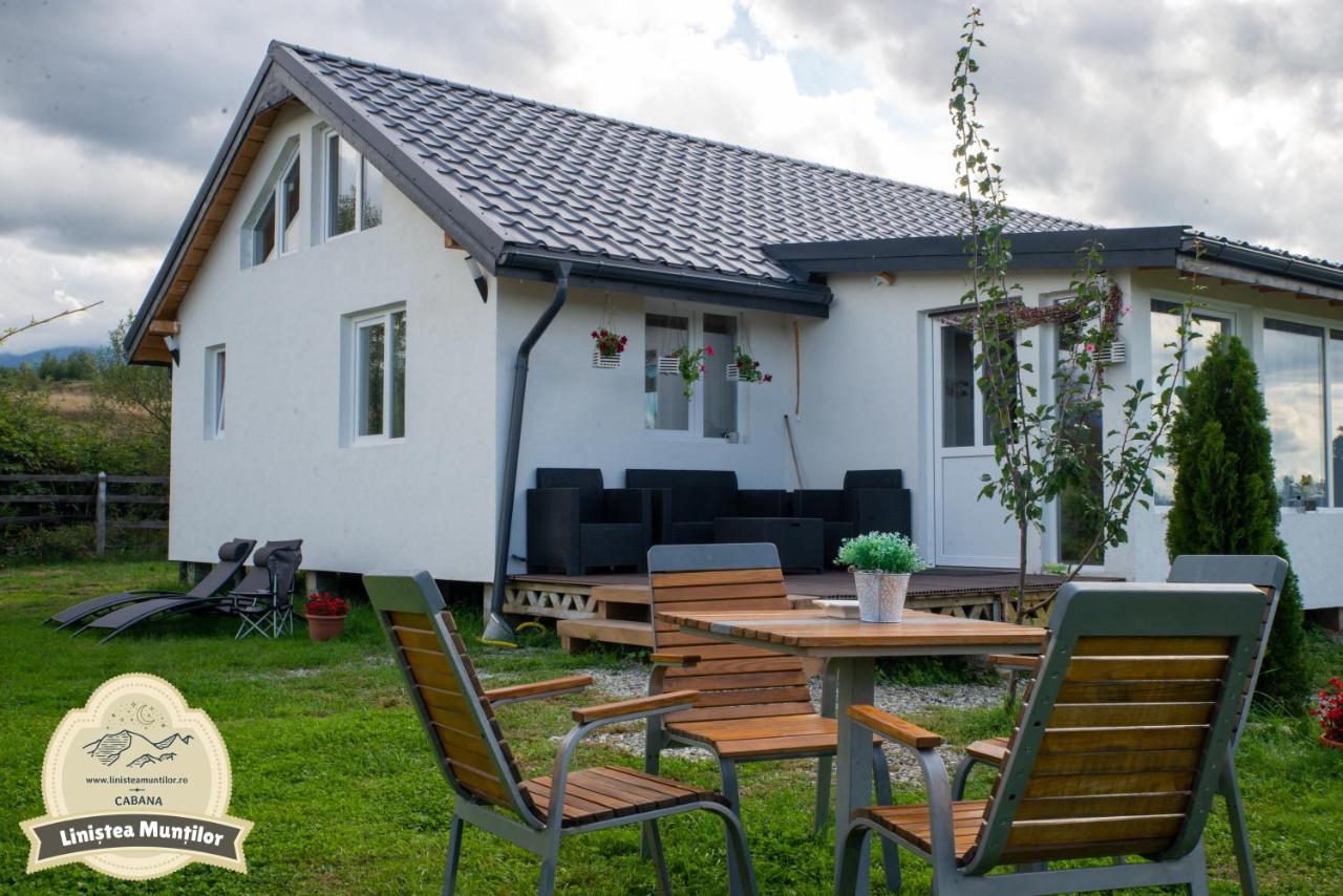 Linistea Muntilor Chalet Porumbacu de Sus Zewnętrze zdjęcie