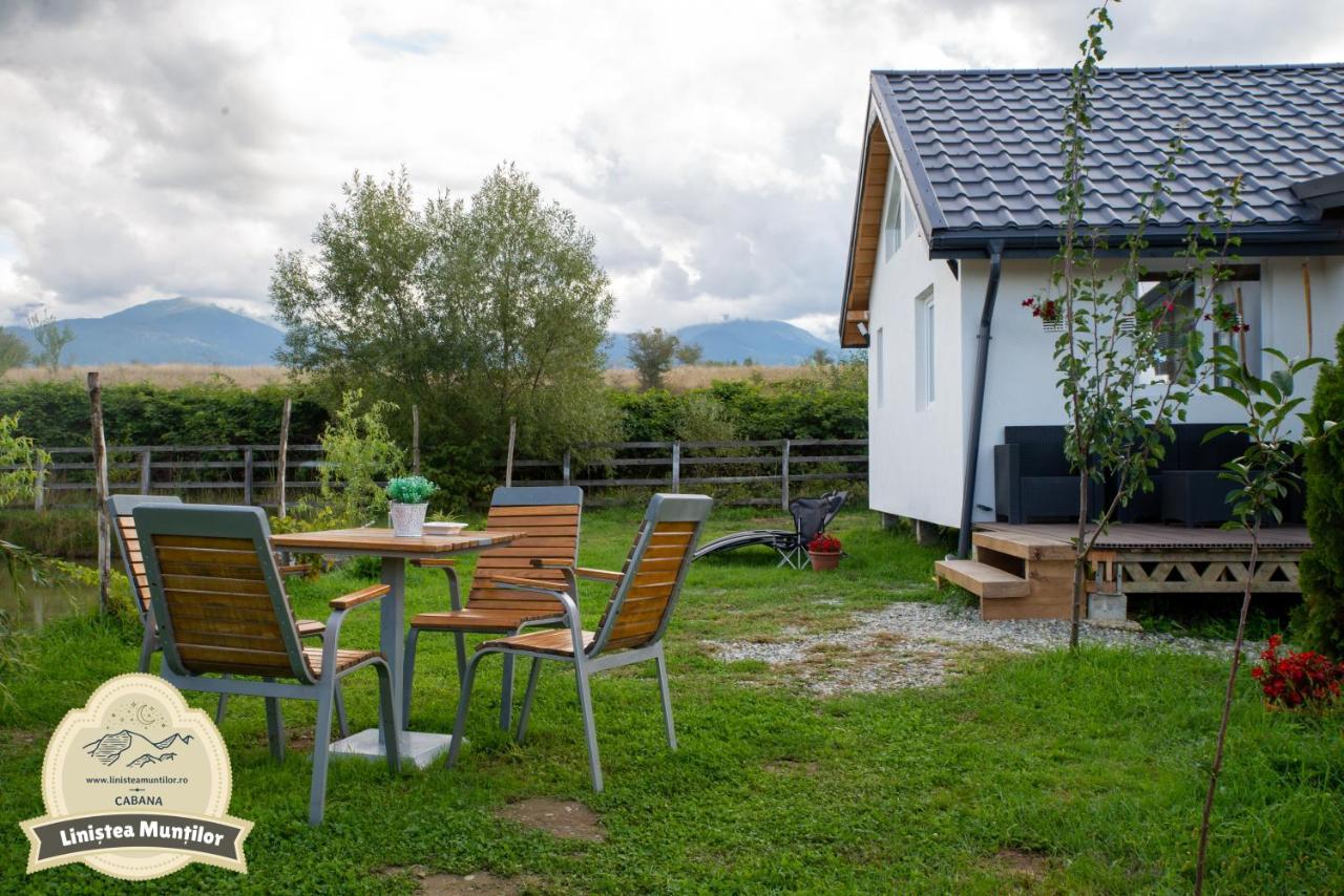 Linistea Muntilor Chalet Porumbacu de Sus Zewnętrze zdjęcie